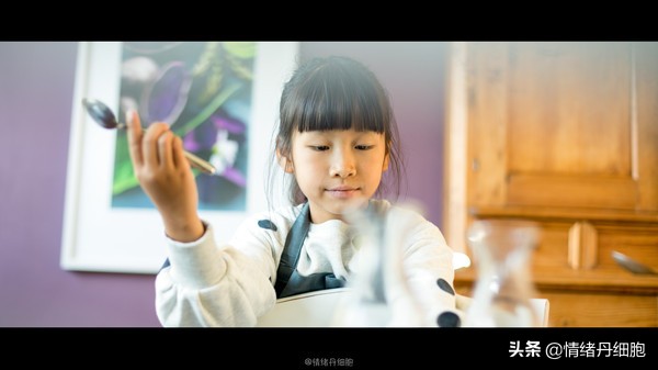 可以去玩一整天的地方,能玩一两天的地方