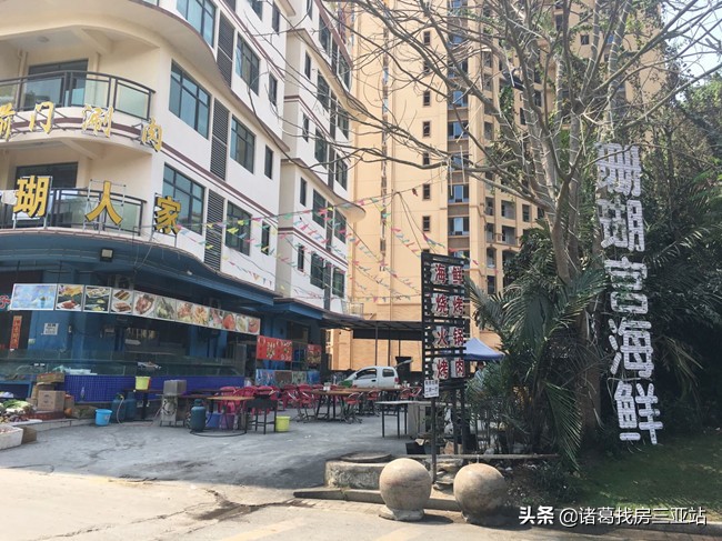 清水湾房地产优势,清水湾从哪里开始止于哪里