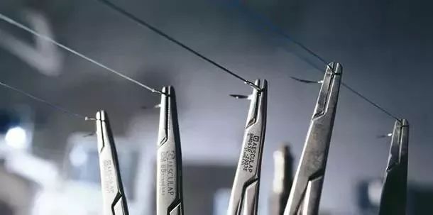 蚂蚁和蚂蚁之间是怎样沟通的呢,蚂蚁和米混在一起怎么拿出来