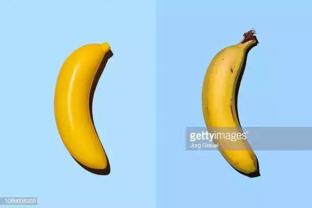 苍蝇的一生有多短暂,苍蝇的一生也就是人类的缩影