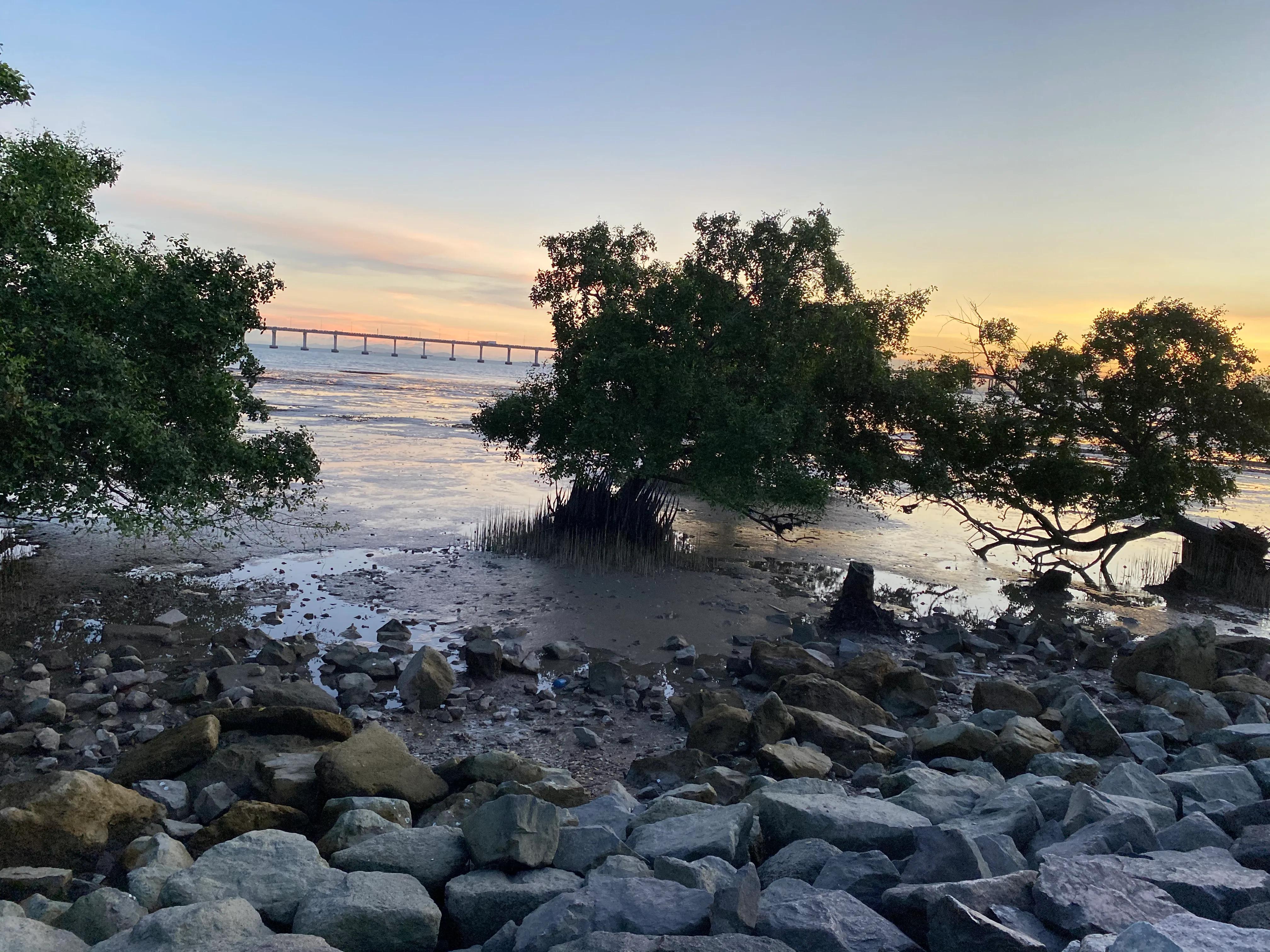 当滂沱大雨淋湿你时，你有儿时看雨和淋雨的心情……