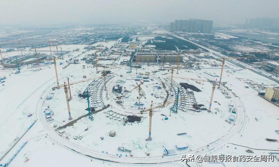 西安世园会石榴花,西安石榴花