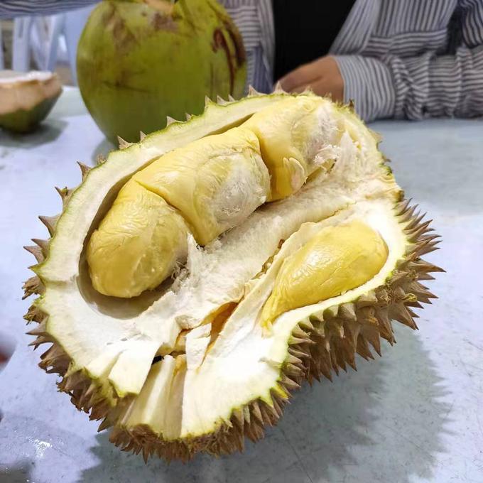 2000块能去马来西亚吗,2000块穷游马来西亚