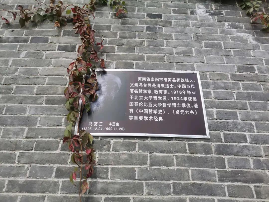 深秋的公园是什么样子的,南阳梅城公园梅花