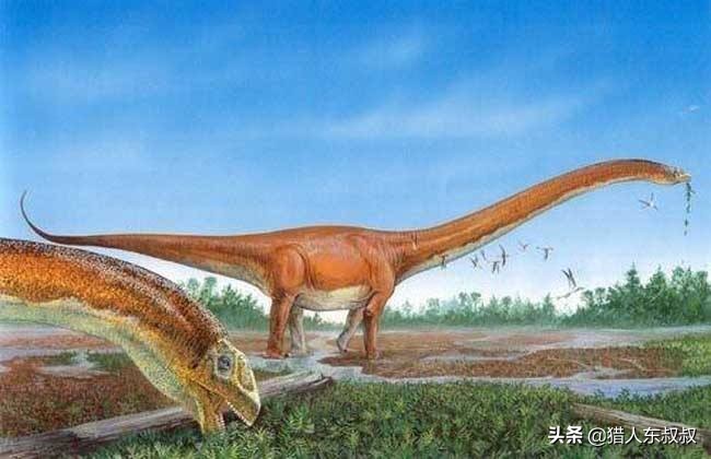 世界上十大恐龙排名英文解说,最厉害的恐龙十大排名