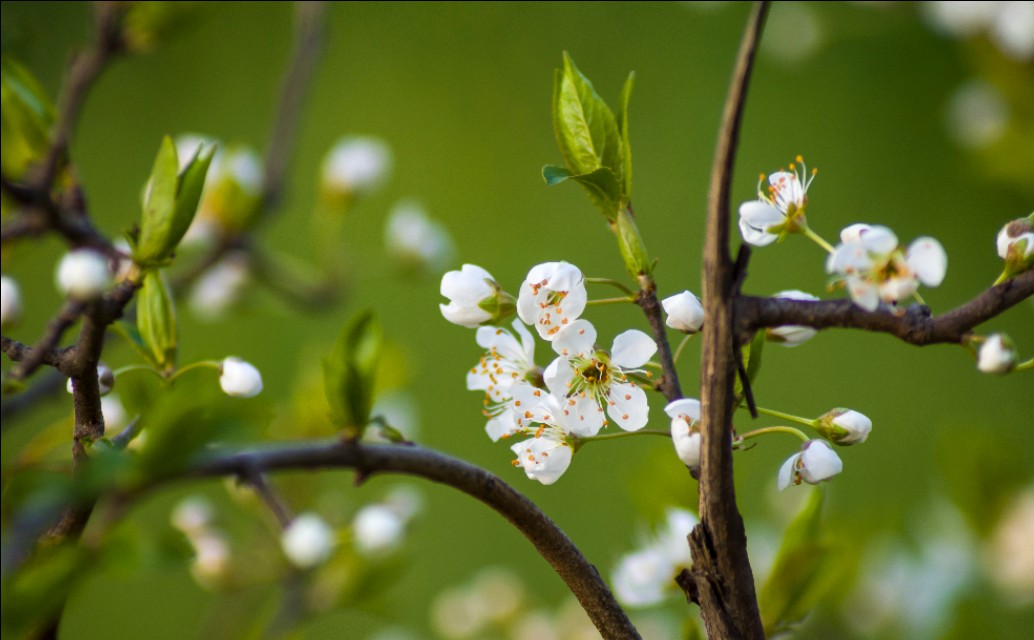 宾得k50配什么镜头最好,宾得k50光圈门解决办法