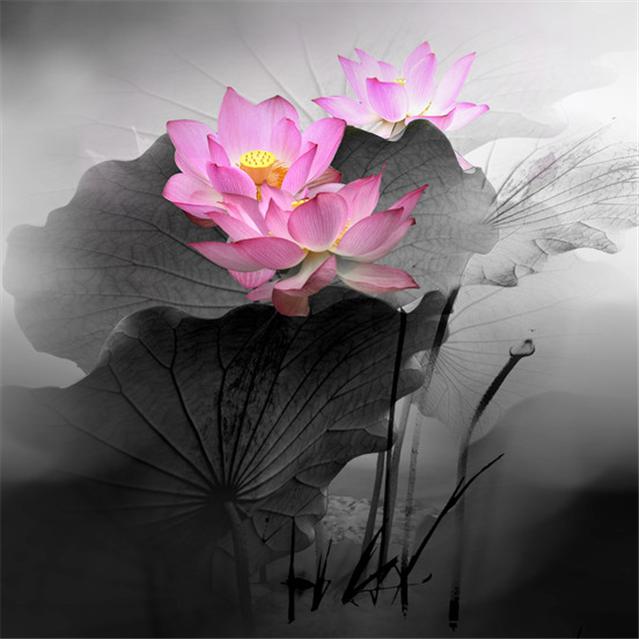 经典歇后语大全搞笑,民间20句经典歇后语句句妙趣横生