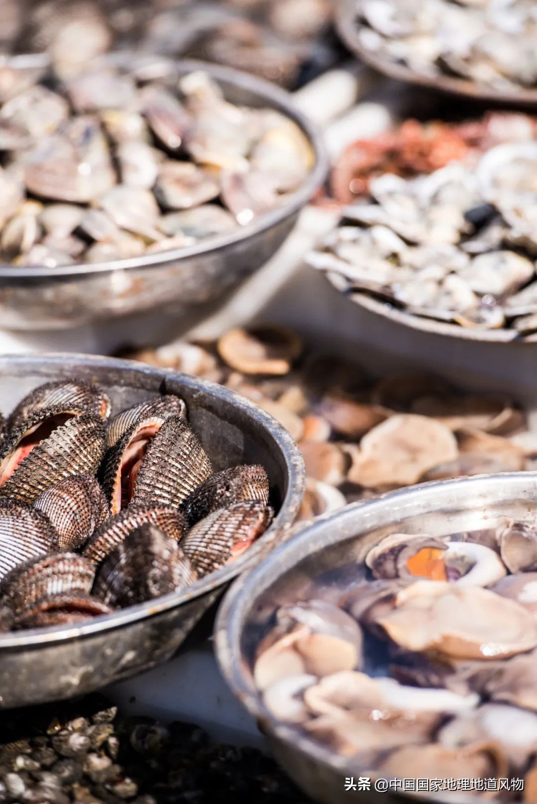 东北振兴大连地位突出,东北龙头大连