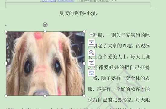 wps操作技巧大全视频,wps表格教程技巧大全