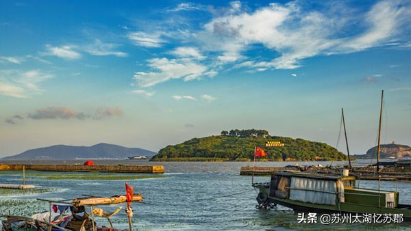 鲜嫩多汁的奉贤黄桃,苏州黄桃现在熟了吗