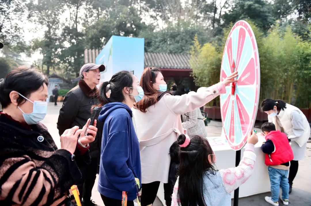 来成都看大熊猫攻略,成都看熊猫旅游攻略来了