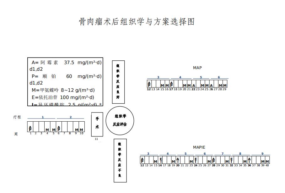 儿童骨肉瘤的最佳治疗方案,儿童骨肉瘤调理方法