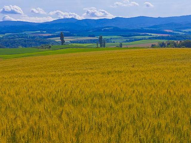 官方发布关于农村补贴的最新政策,农民又有哪5项补贴政策