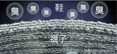 什么鞋垫防脚臭最好使,哪款鞋垫防脚臭最好