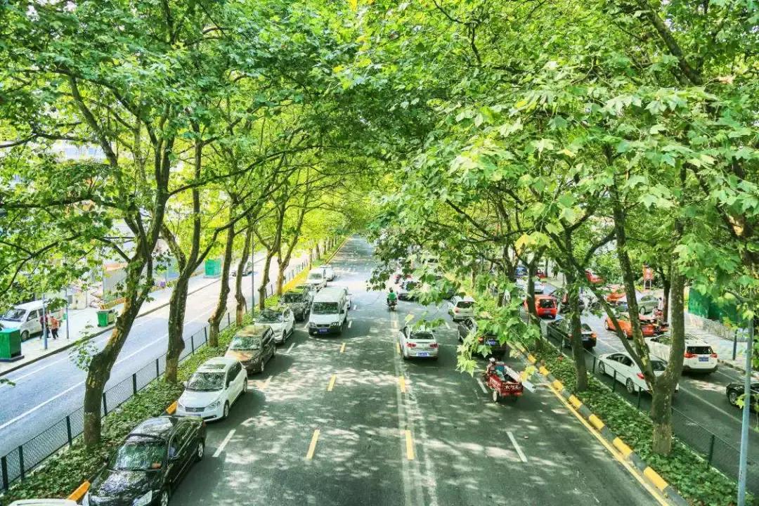 百年贵阳,贵阳古老的回忆