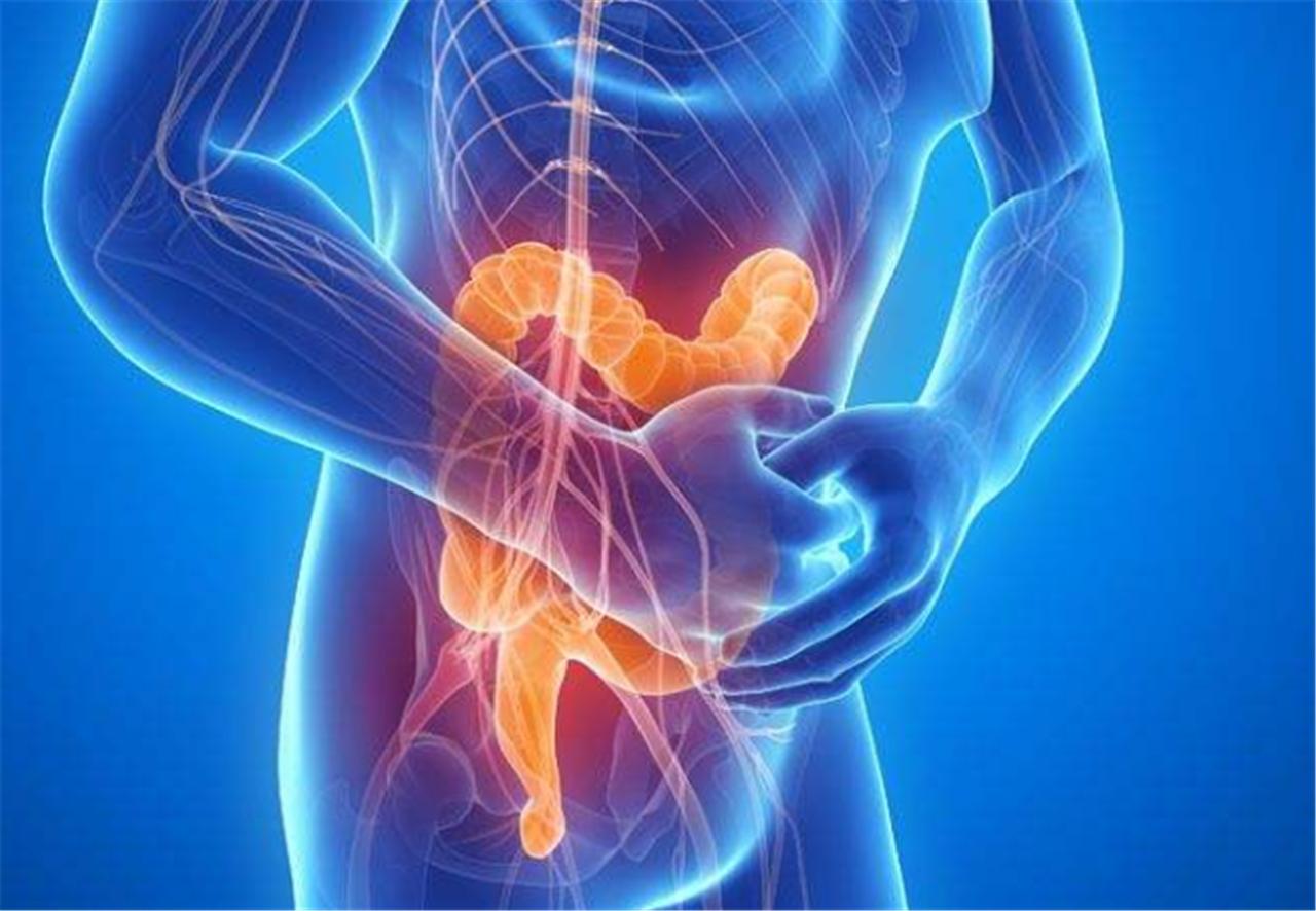 没排出来的屎到哪去了,每天产生的屎怎么处理