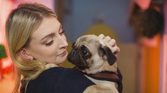 这几种狗，明明是“中国狗”，却被误认为“外国货”