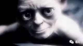 霍比特人1:意外之旅,霍比特人1:意外之旅好看吗