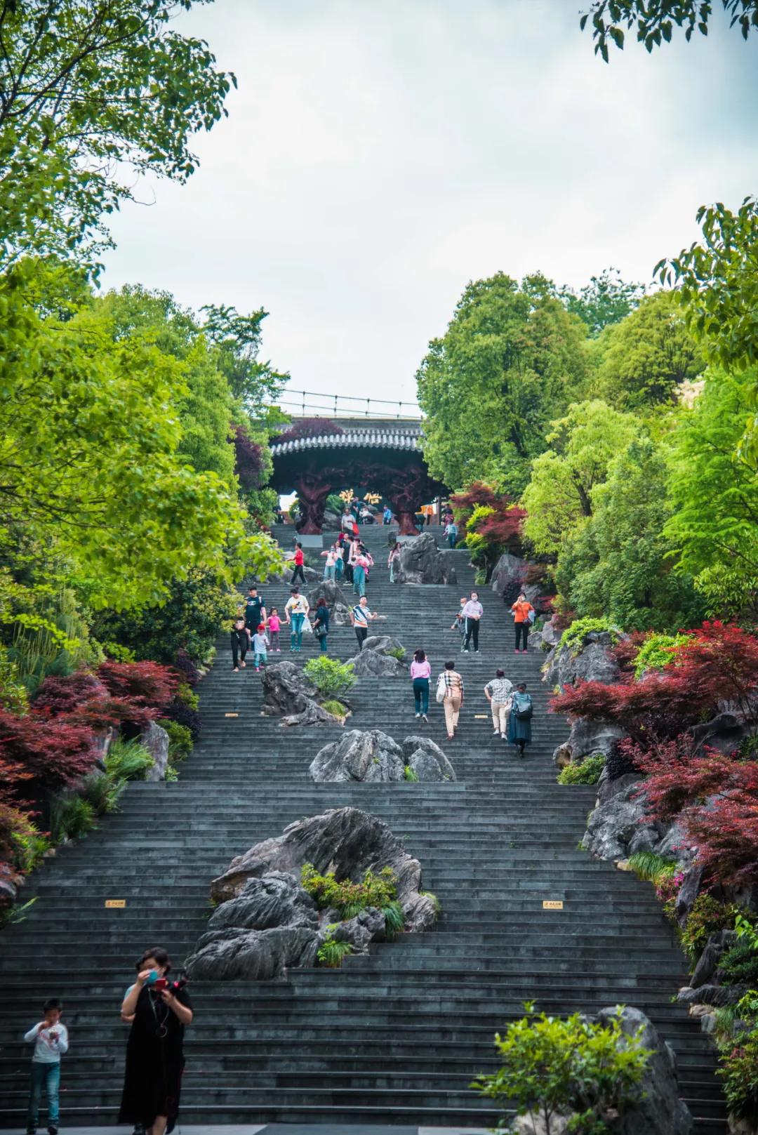 马云去的江西小镇,马云在浙江几个小镇