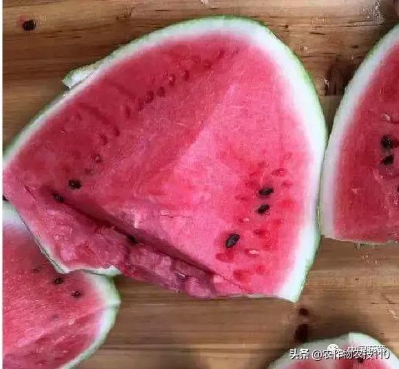 西瓜栽培技术有哪些,西瓜栽培技术全面的文字解释