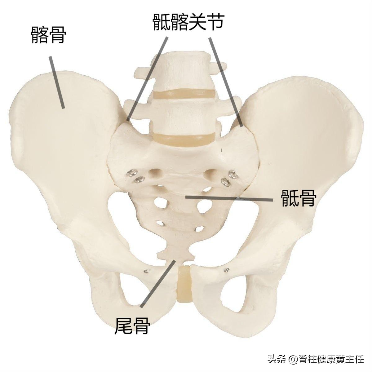 骶髂骨错位复位后应该注意什么,宝宝骶髂关节错位怎么复位