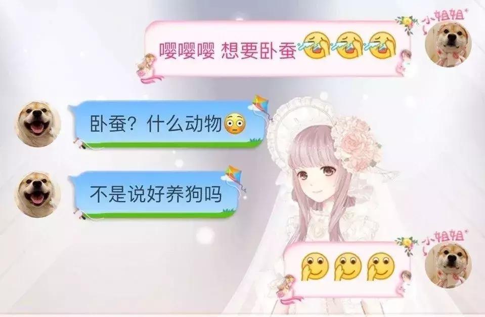 求救兵哥哥,谁能来拯救直男