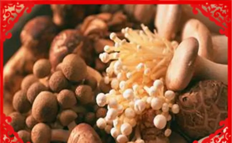 低成本农村做什么赚钱,低成本致富的方式