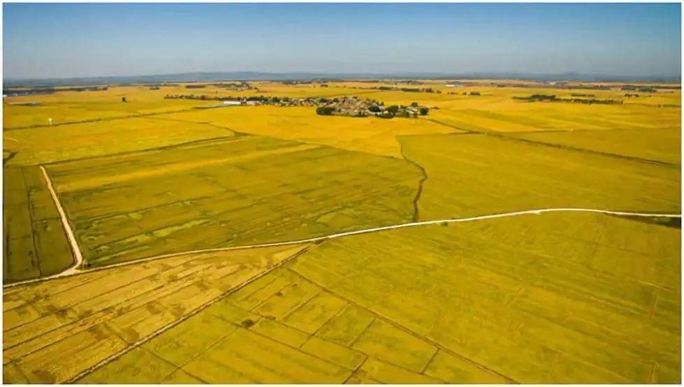 中国三次革命分别是什么,两次粮食革命是什么