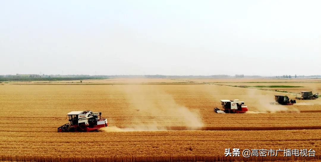 高密的生活,幸福在高密