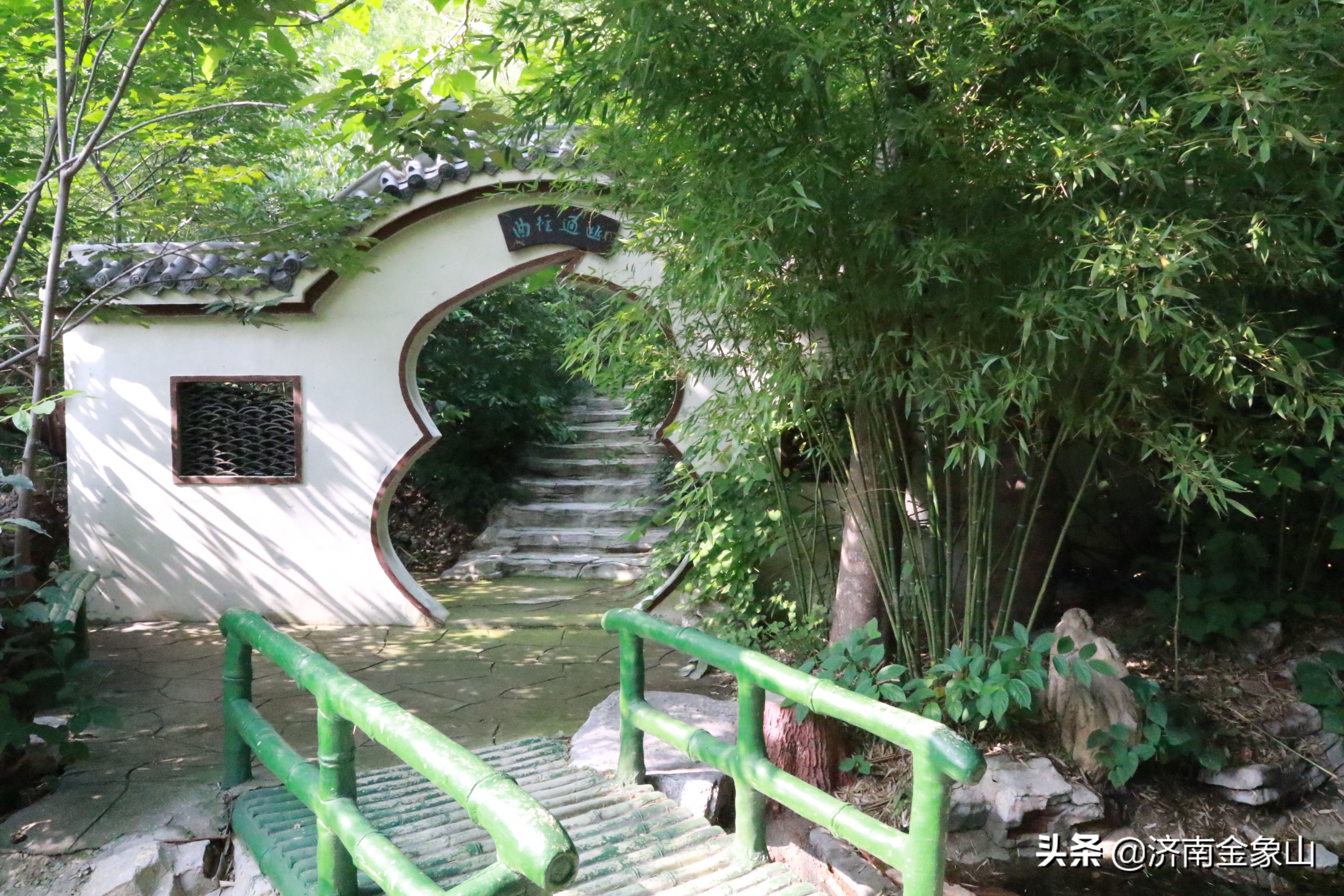 金象山风景区在哪里啊,金象山咋样