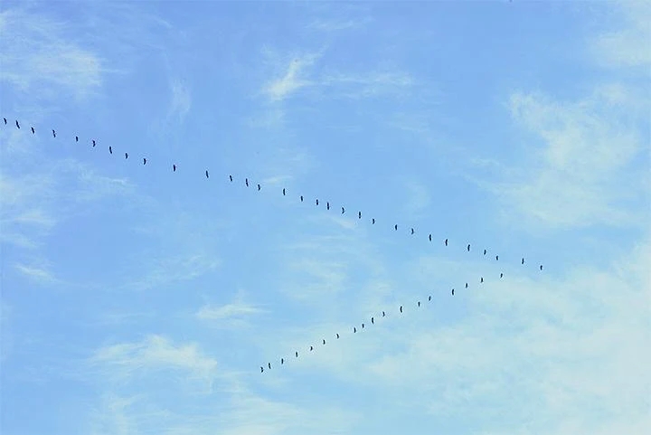 断过的绳子怎么系都有结,绳子断了再接回去终究会有个结