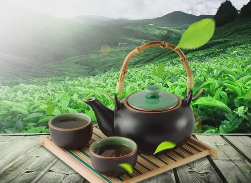 信阳毛尖有那么大功效吗,信阳毛尖功效视频