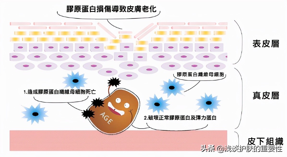 维生素e乳可以解决皮肤干燥吗,脸干燥起皮紧绷发红用维生素e