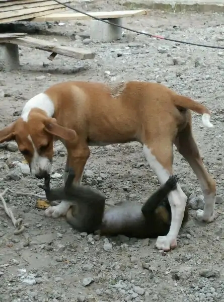 带你去赤道看海,赤道几内亚国家地图