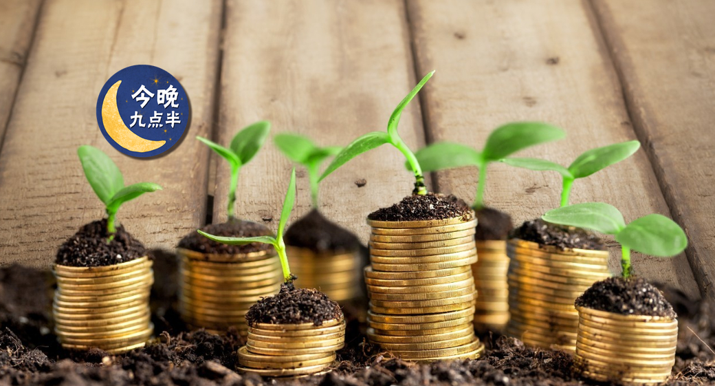 回本分红好不好,分红坑到底有多深