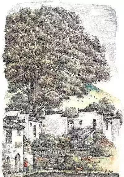 钢笔用得好，真的可以为所欲为！