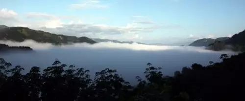 易武山和易武正山的区别,易武正山是什么