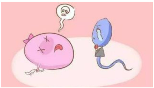 如何提高卵子质量？做到这7点，你也能轻松怀孕！