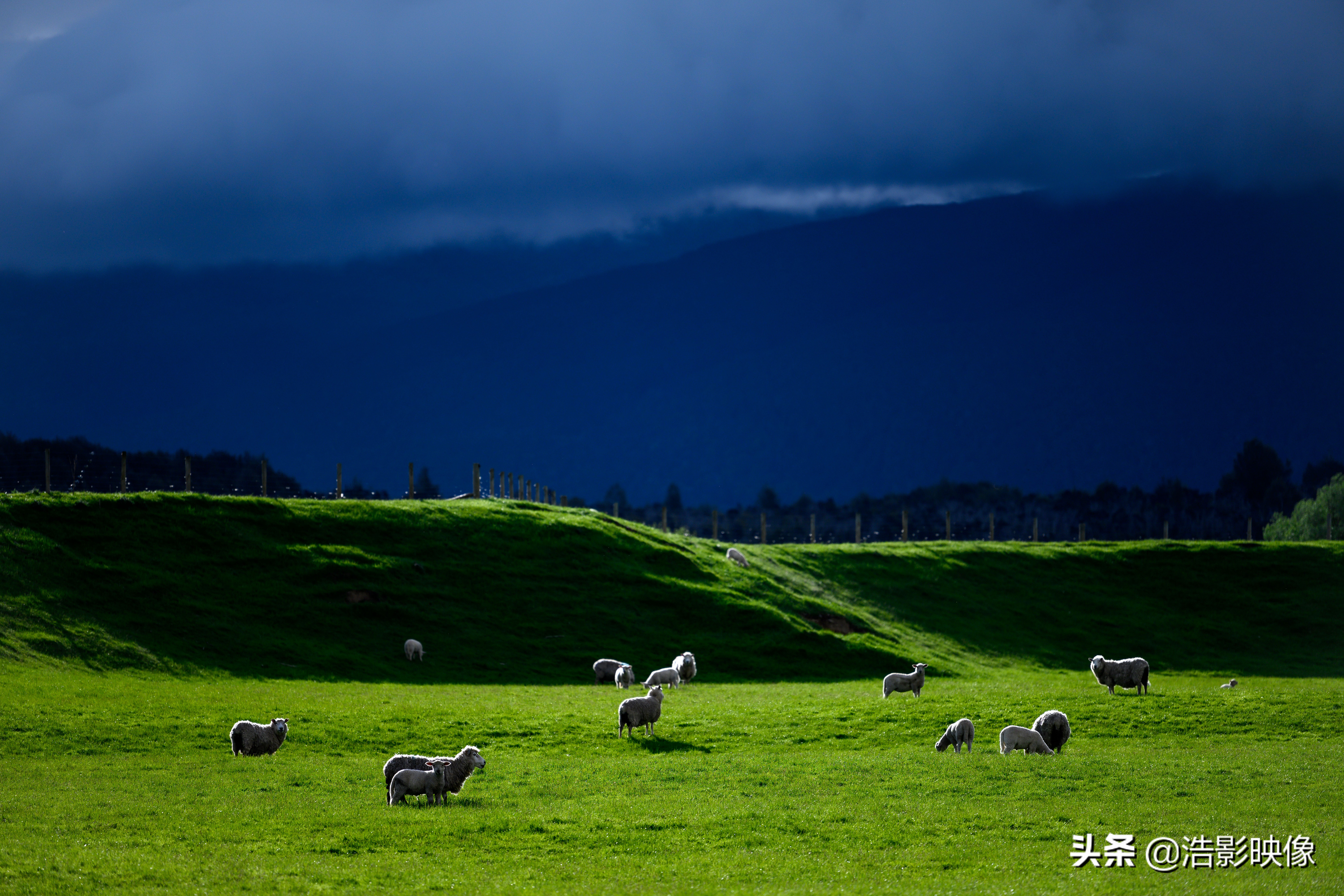 尼康镜头70200哪款最好,尼康70-200z镜头值得买