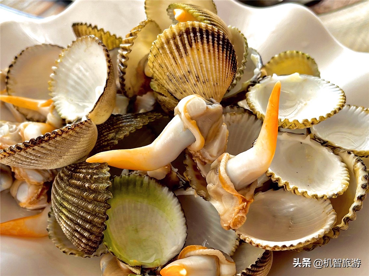 日照房价,日照旅游攻略