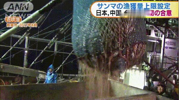 海鲜市场这4种鱼人工无法养殖,海鲜市场适合养什么鱼