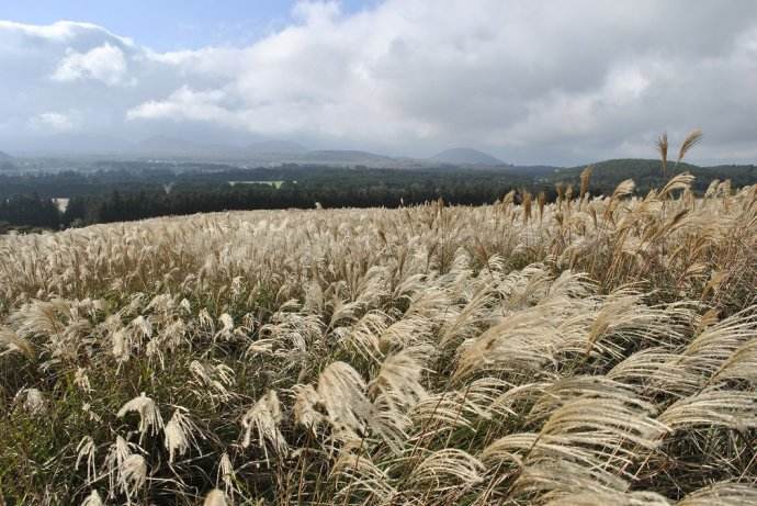 最新济州岛旅行,济州岛的快乐旅行