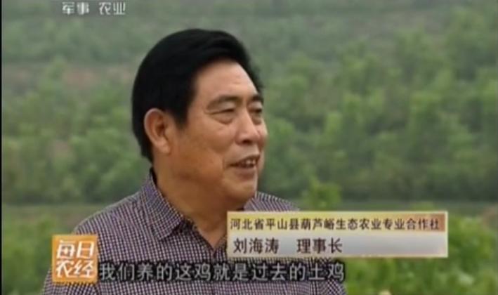 昔日“光棍村”，小伙子宁肯出去倒插门，如今村民纷纷盖新房买汽车