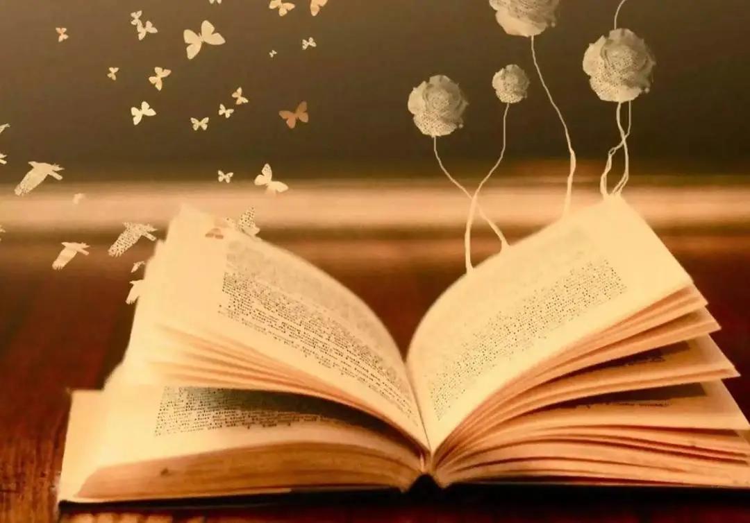 教师如何培养小学生的阅读能力,小学教师靠阅读成功