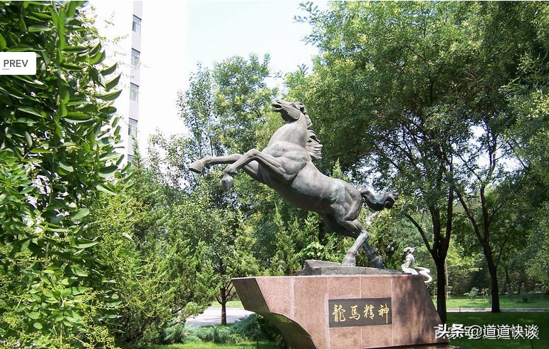 北京林业大学是世界顶尖的大学吗,北京林业大学口碑怎么样好就业吗