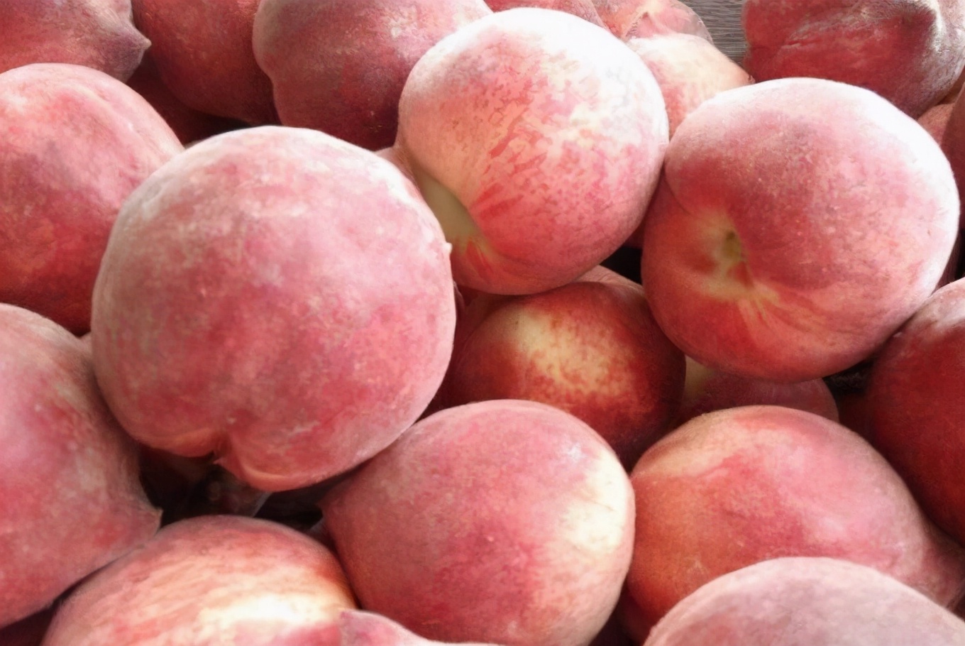 桃子的挑选方法和注意事项,桃子怎么挑选果甜