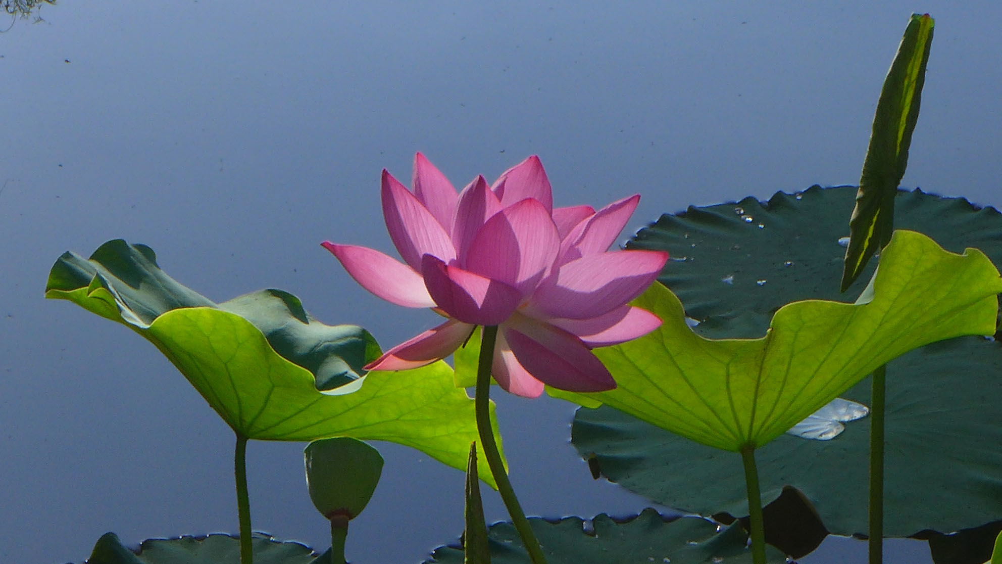 自媒体第一次发文,自媒体最后一次发文