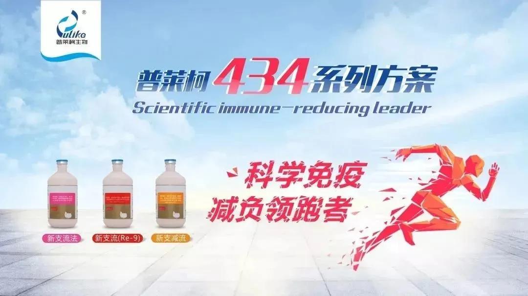 蛋鸡行业的发展方向,蛋鸡行业的未来发展方向