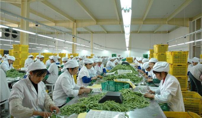 2022农村小型加工办厂项目有哪些,农村有哪些小投资办厂的项目