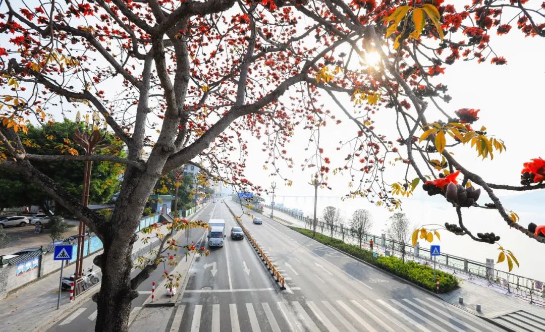 冬夜漫长而艰辛,冬夜漫长而寒冷